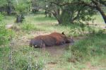 safrica03_image23.jpg